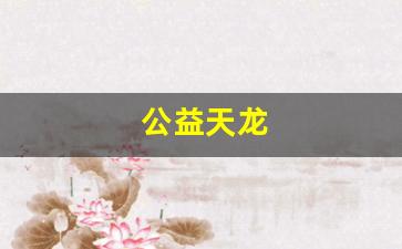 天龙八部最新私服：公益天龙(18岁了防沉