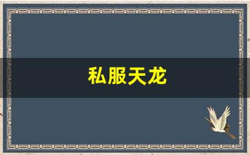 新开天龙八部私服：私服天龙 (11)